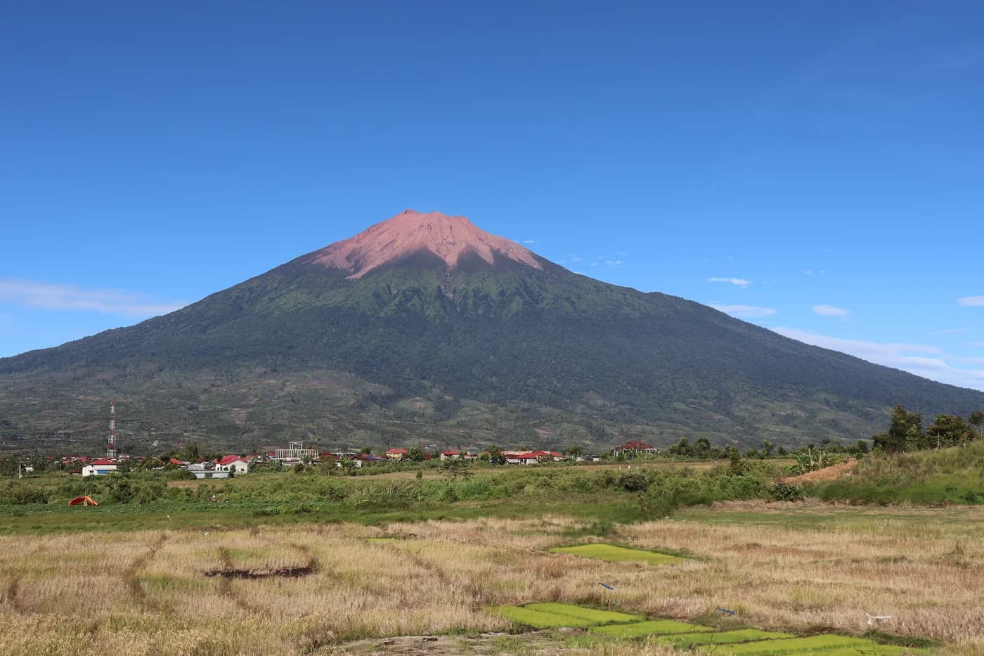 Gunung Kerinci dilihat dari kebun teh